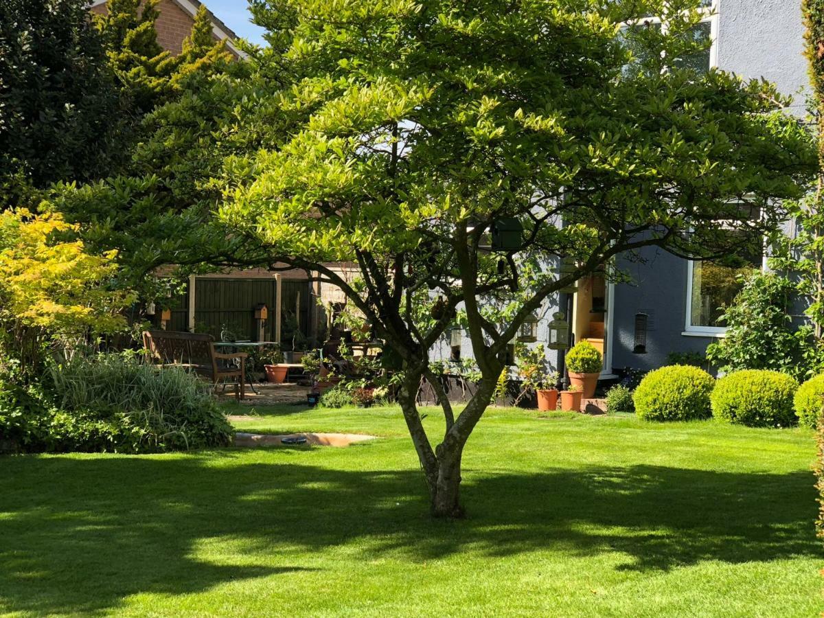 The Elms Guest House Bristol Filton Zewnętrze zdjęcie